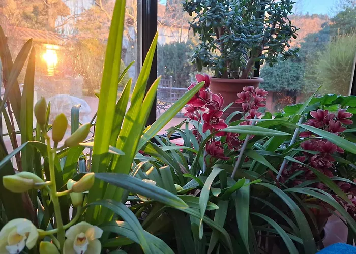 Tuscany Villa Gorello. Villa In Toscana. Jacuzzi Con Tetto In Cristallo,Piscina