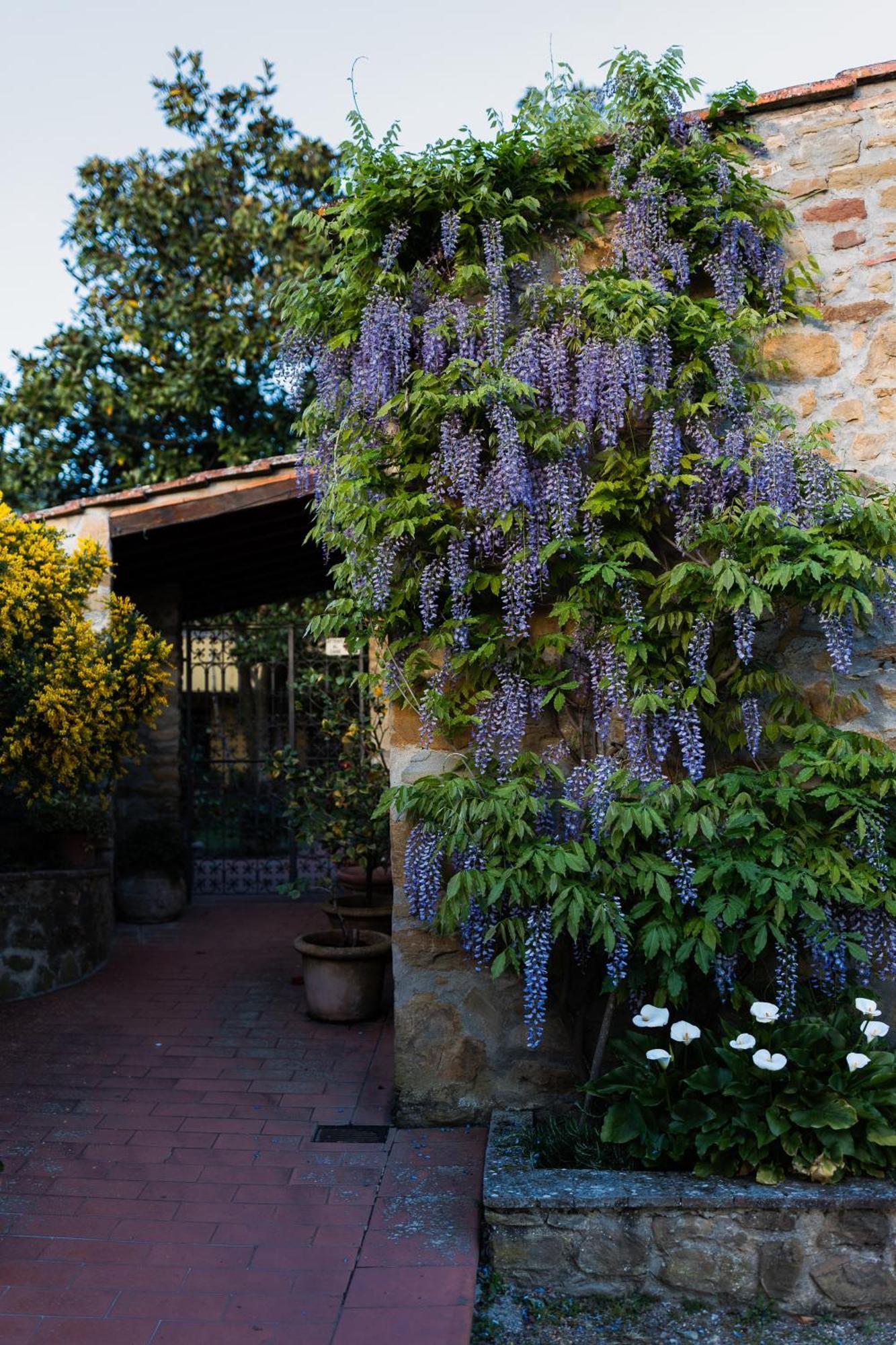 Tuscany Gorello. In Toscana. Jacuzzi Con Tetto In Cristallo,piscina Villa *