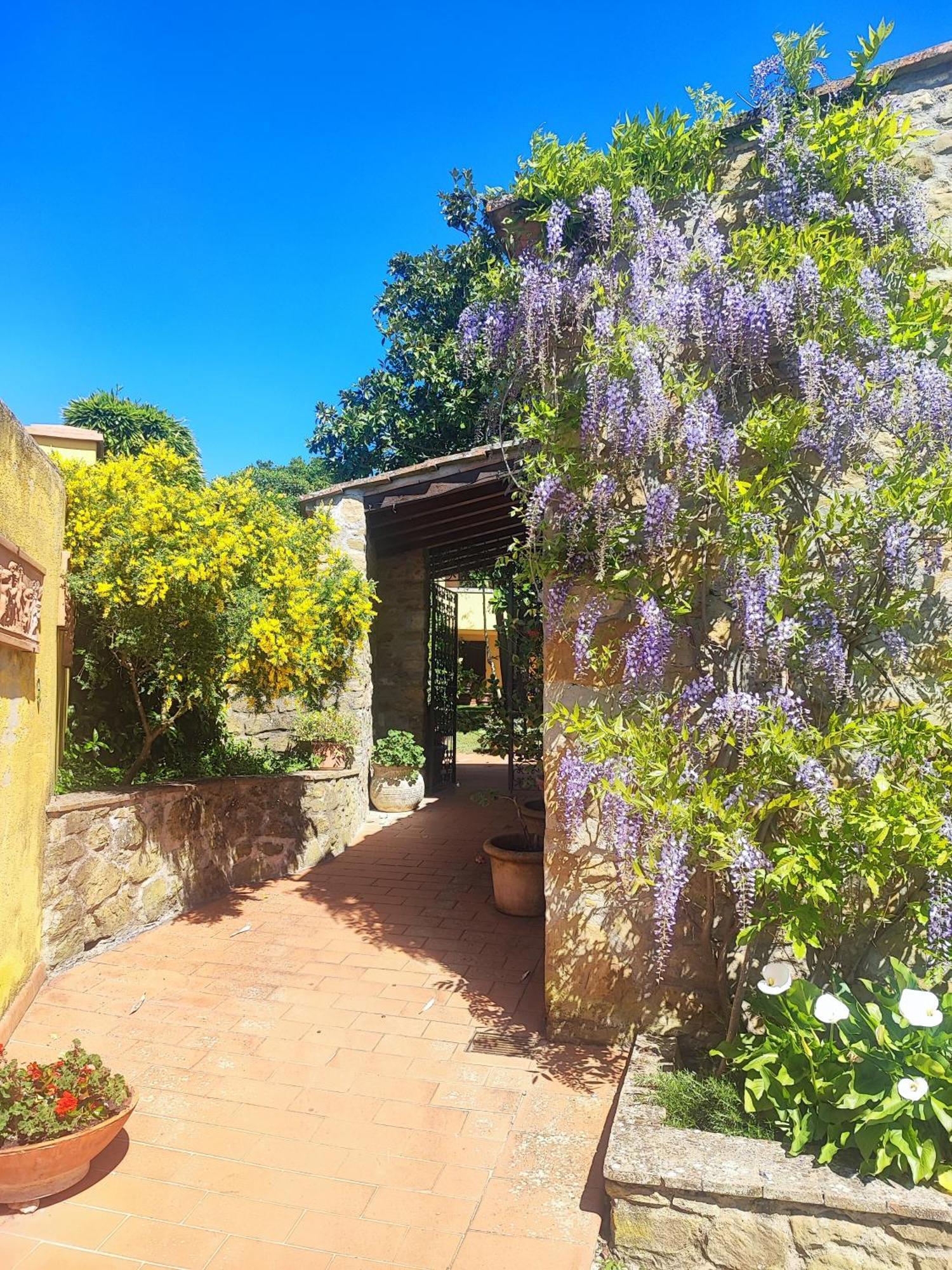 Tuscany Gorello. In Toscana. Jacuzzi Con Tetto In Cristallo,piscina *
